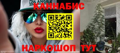 прущие крисы Можайск
