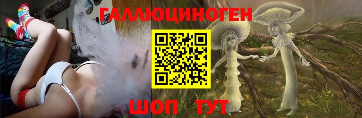 Галлюциногенные грибы MAGIC MUSHROOMS Чернушка
